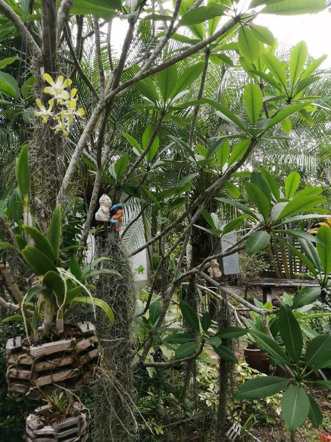 Naiyang Boutique Resort Ban Phak Chit Dış mekan fotoğraf